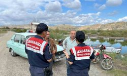 Jandarmadan Bafa Gölü’nde çevre denetimi