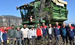 Söke Ovası’nda pamuk hasadı sürüyor