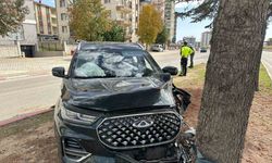 Araç ağaca çarptı: 2 yaralı