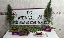 Evinde tam 498 gram skunk ele geçirildi