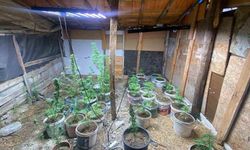 Zehir tacirlerinin kurduğu sistem jandarmaya takıldı