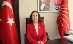 CHP'li Özdemir'den Dünya Kız Çocukları Günü açıklaması