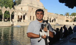 Göl'e düşen kedi kalp masajıyla hayata tutundu