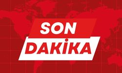 Sahte Diploma ve Ehliyet Operasyonu: 125 Kişi İçin Gözaltı Kararı