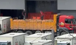 Belediyenin fırınında skandal görüntü