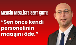 Mersin'den mecliste sert çıkış