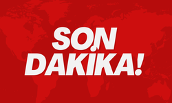 Ünlülere Şafak Operasyonu