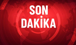 36'sı Türk 137 aktivisti taşıyan uçak İstanbul'a indi
