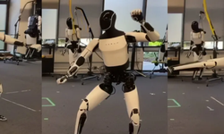 Tesla'nın robotu kung fu yaptı