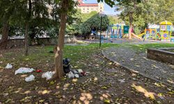 Büyükşehir'in sorumluluğundaki park kaderine terk edildi