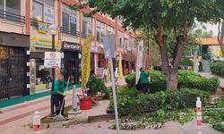 Efeler Belediyesi’nden Vatandaşlara Önemli Uyarı