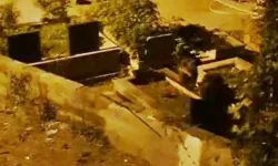 Mezarlıktan gelen seslerin sırrı çözüldü