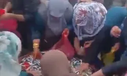 Bedava hamsi izdihamı