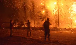 2025 yılında çıkan orman yangınlarda bilanço