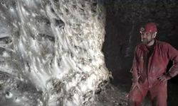 Dünyanın en büyük örümcek ağı keşfedildi