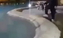 Sokak kedisini defalarca havuza attılar!