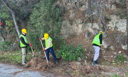 Milli Park'ta risk azaltma çalışmaları sürüyor
