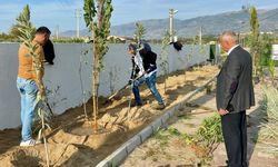 Sultanhisar'da can dostları için yeşil dokunuş