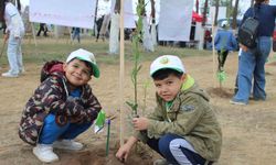 Aydın’da 7 bin fidan toprakla buluştu