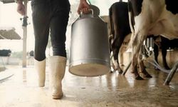 Aydın’da üreticilere 66 milyon TL ödeme yapılacak