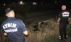 Aydın'da otomobil sulama kanalına uçtu: 2 yaralı