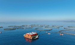 Aydın'da su ürünleri destekleme başvuruları başladı