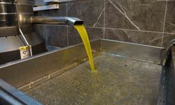 Aydın'da zeytinin yağa dönüşümü başladı