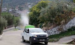 Bozdoğan’da karasinekle mücadele