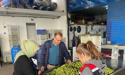Buharkent’te Zeytin Kalitesi İçin Sıkı Denetim