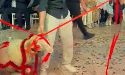 Damada verilen hediyeye herkes şaştı kaldı