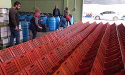 Didim'de organik zeytin ve zeytinyağı üretim alanları denetlendi