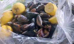 Gıda Hattı'na gelen ihbar ekipleri harekete geçirdi