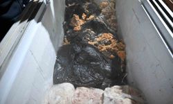 Hijyen kurallarına uymayan işletme mühürlendi