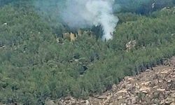 Kavaklıdere’de orman yangını