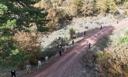 Kayıp Selim Ece 2 Yıl Sonra Yeniden Gündemde!