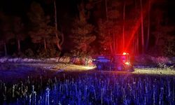 Muğla orman yangını kısa sürede kontrol altına alındı