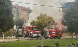 Park halindeki minibüs alevlere teslim oldu