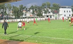 Söke 1970, Bornova'yı eli boş gönderdi