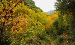 Koçak Kanyonu’nun Sonbahar Güzelliği Dikkat Çekti