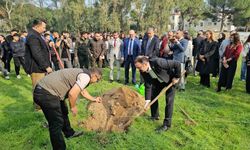 Sultanhisar’da fidanlar toprakla buluştu