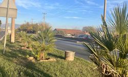 Yeşil Sultanhisar için ağaçlandırma çalışmaları sürüyor