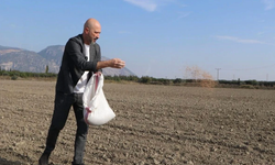 Bülbül, İberya Arıkan'ı dilinden düşürmüyor!