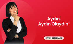 Aydın, Aydın Olaydın!