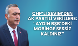 CHP'li Sevim AK Partili Vekillere Yüklendi
