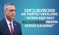 CHP'li Sevim AK Partili Vekillere Yüklendi