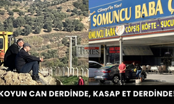 Koyun Can Derdinde, Kasap Et Derdinde !