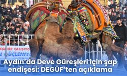 Aydın’da Deve Güreşleri için şap endişesi: DEGÜF’ten açıklama