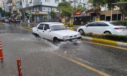 Aydın'da hafta sonu yağışlı hava sevindirdi