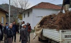 Köşk'te üreticilere kestane fidanı desteği