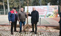 Kuyucak'ta 1200 adet kestane fidanı dağıtıldı